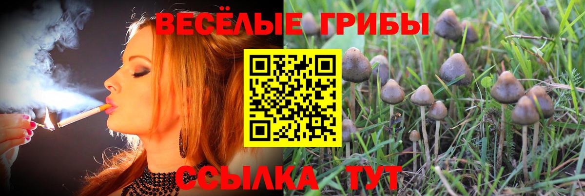 Галлюциногенные грибы MAGIC MUSHROOMS  Вход с VPN  Иркутск 